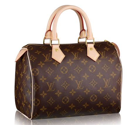 louis vuitton speedy 22